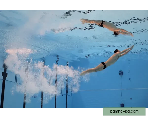 探究跳水比赛数据背后隐藏的奥秘