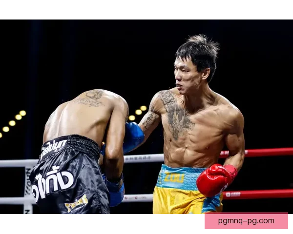 搏击之巅：重拳出击，拳击联赛冠军之路