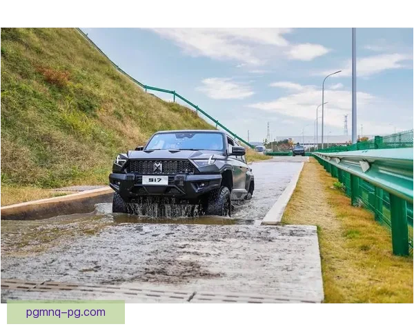 探索越野跑世界：挑战极限，征服赛道